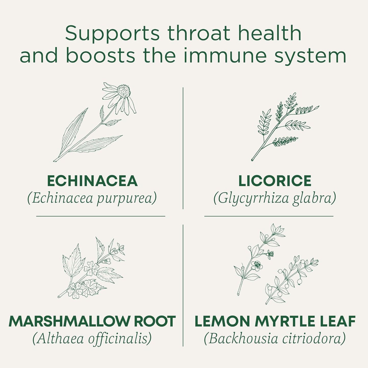 Throat Coat Organic Pectin Throat Drops, Lemon Ginger Echinacea, Soothes Sore Throats, 16Ct.